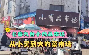 Download Video: 长春九台小商品市场从小买到大的菜市场