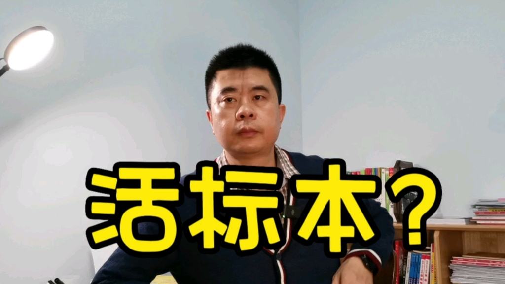 三个月马林思维实践小复盘，再回头，生活在不经意间发生了改变