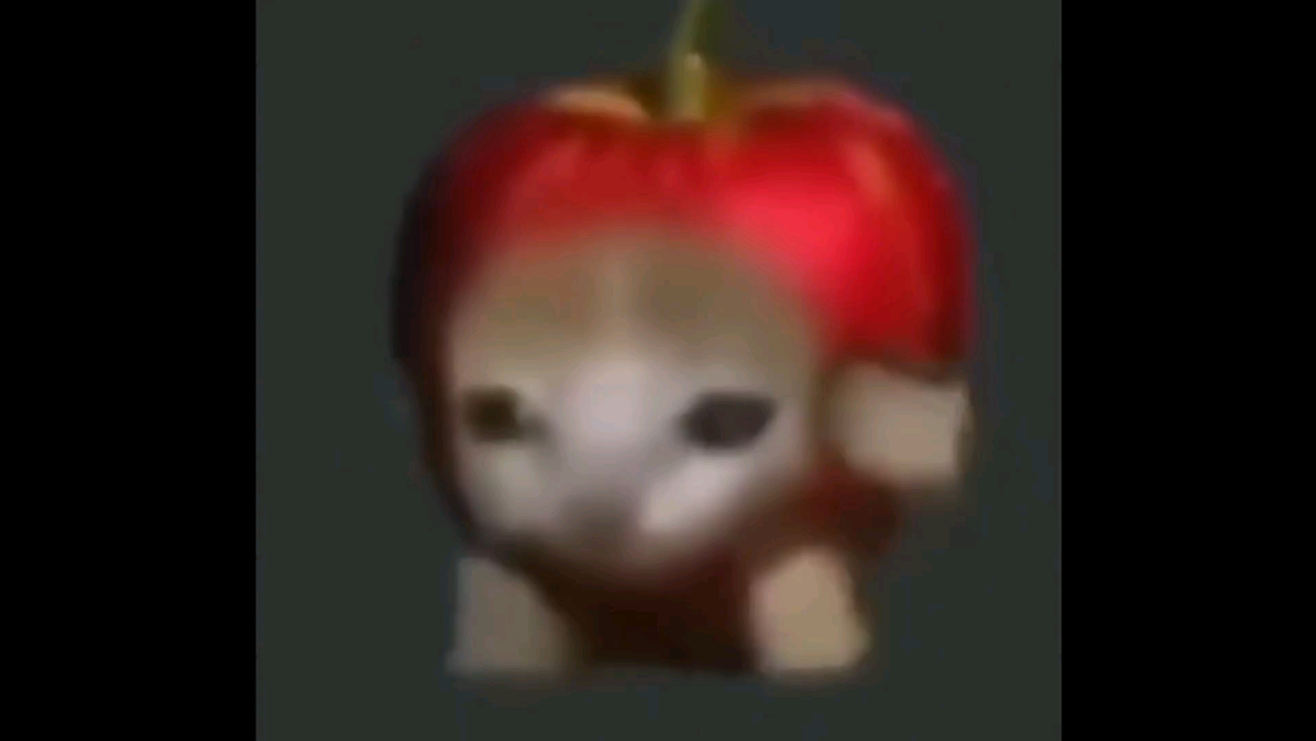 苹果猫行走一分钟