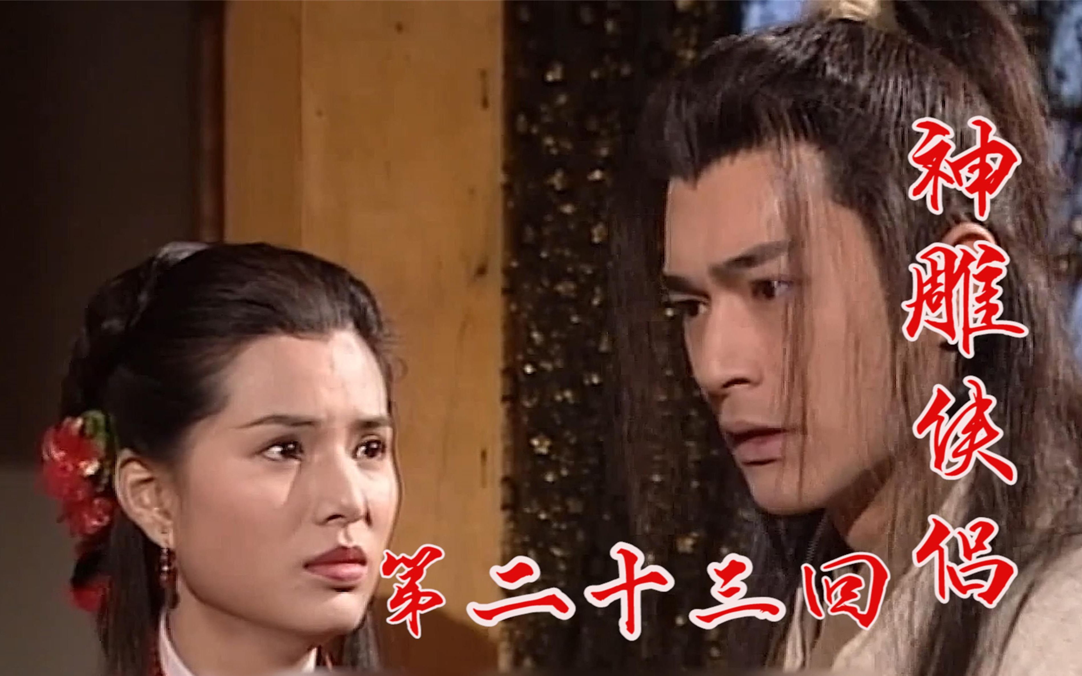 神雕侠侣23杨过身中情花毒与小龙女大战公孙止