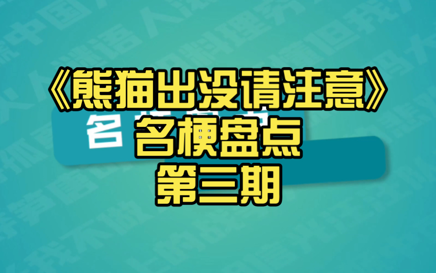 【熊猫堂】《熊猫出没请注意》名梗盘点第三期哔哩哔哩bilibili