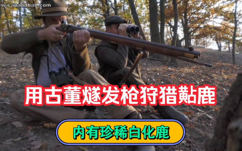 燧发枪狩猎~用18世纪的古董燧发枪狩猎一头大黇鹿(tian 鹿)Flintlock fallow deer hunt in Hungary 匈牙利大叔の猎鹿之旅哔哩哔哩bilibili