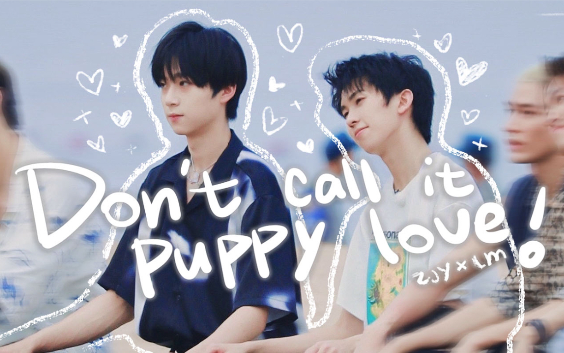 【风景元林】张嘉元x林墨|dont call it puppy love|猫咪和狗狗的