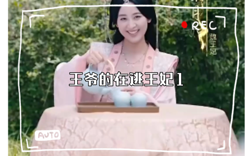 王爷的在逃王妃1哔哩哔哩bilibili