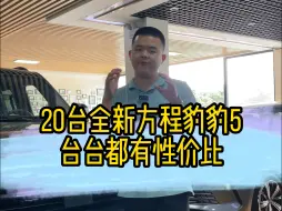 Download Video: 20台全新方程豹最新到货，台台都有性价比!