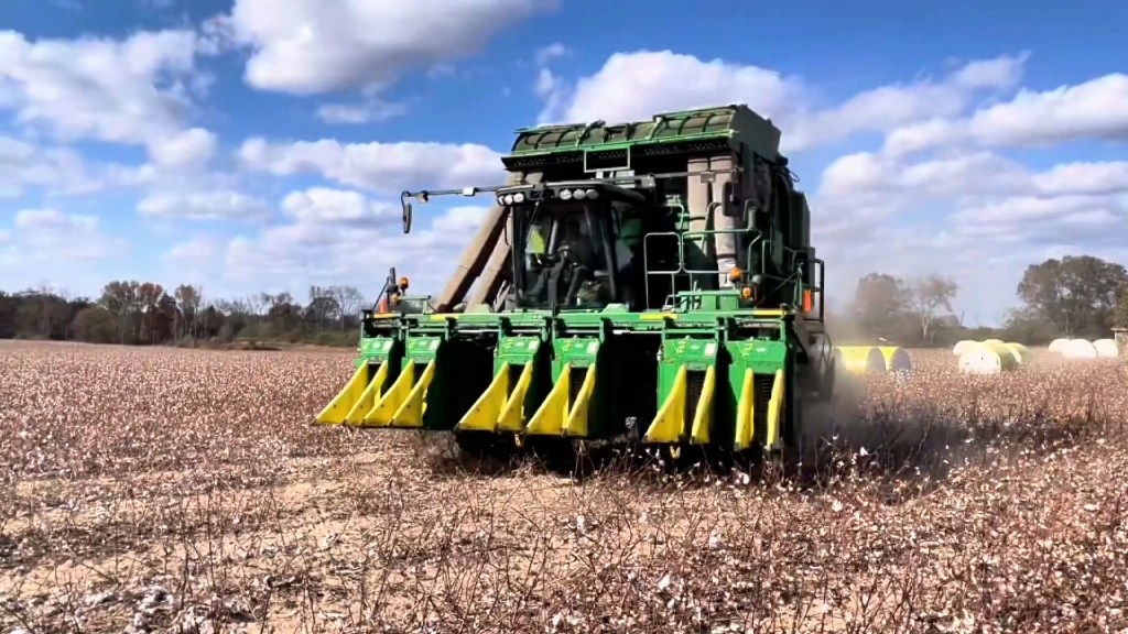国外大型棉花收割机采收打包作业