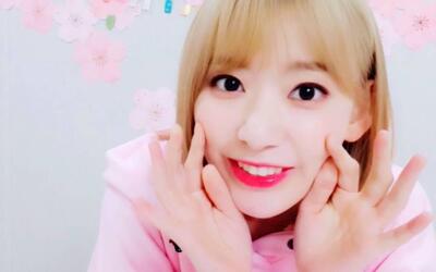 【宮脇咲良】生日直播sakura酱生日快乐!0319