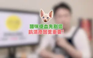 Download Video: 猫咪便血先别慌，搞清病因更重要！