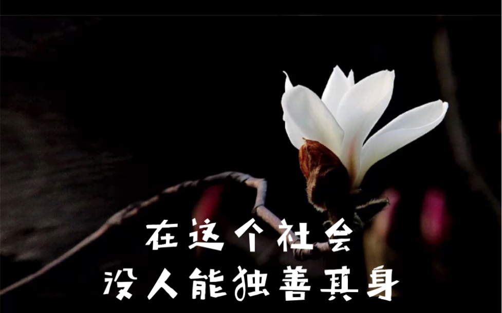 在这个社会,没人能独善其身_哔哩哔哩 (゜-゜)つロ 干杯~-bilibili