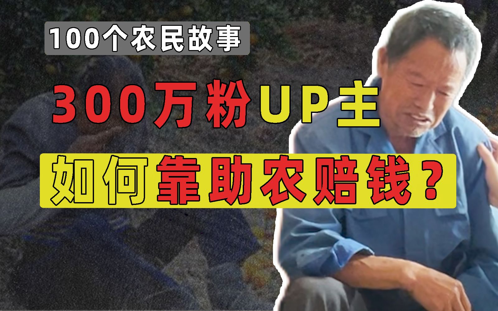 [图]我，300万粉UP主，是如何用助农公益赔钱的？【100个农民故事】