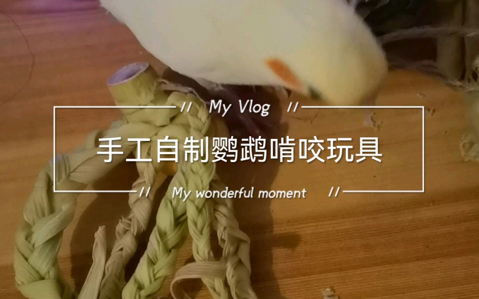 活动作品手工自制鹦鹉啃咬玩具