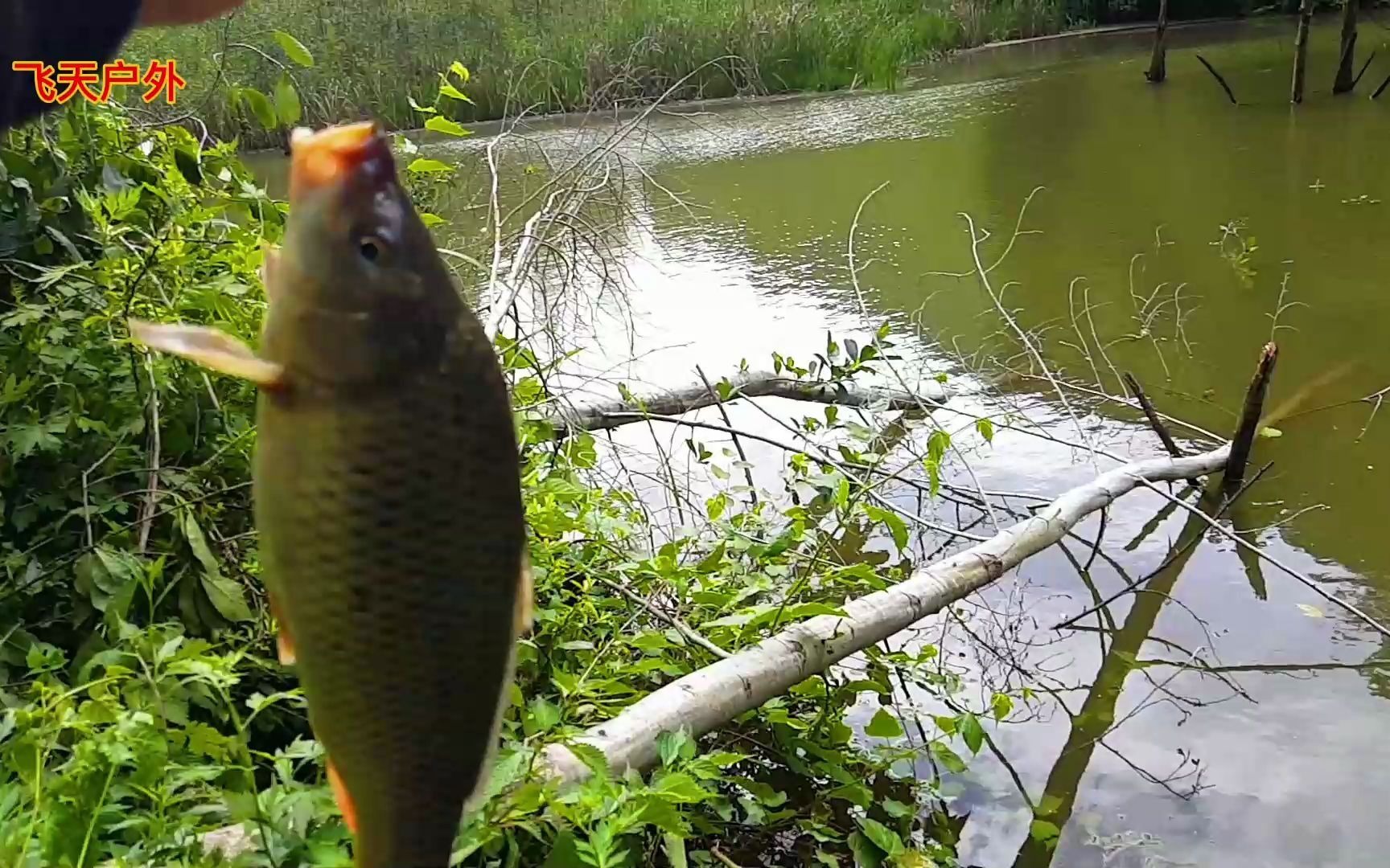 大山深处谷麦探钓鱼美,风景更美
