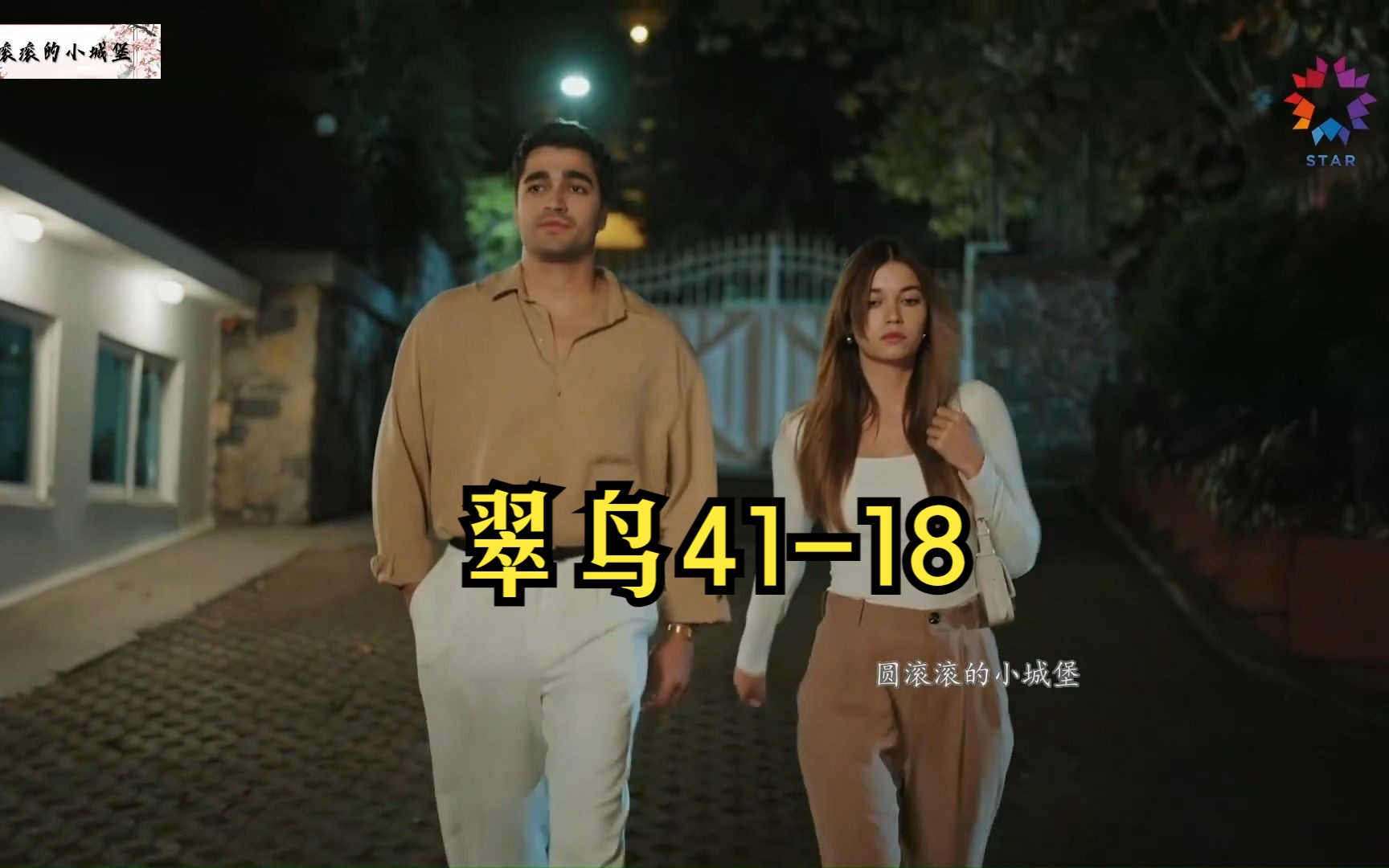 【第41集中字】土耳其剧:翠鸟第二季 41-18