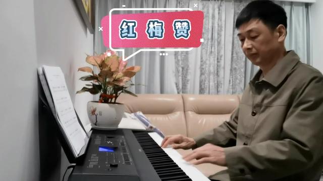 红梅赞(雅马哈dgx660弹奏)