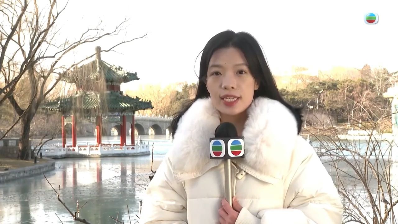 日本将放宽中国公民赴日旅游签证发放条件【TVB News搬运】哔哩哔哩bilibili