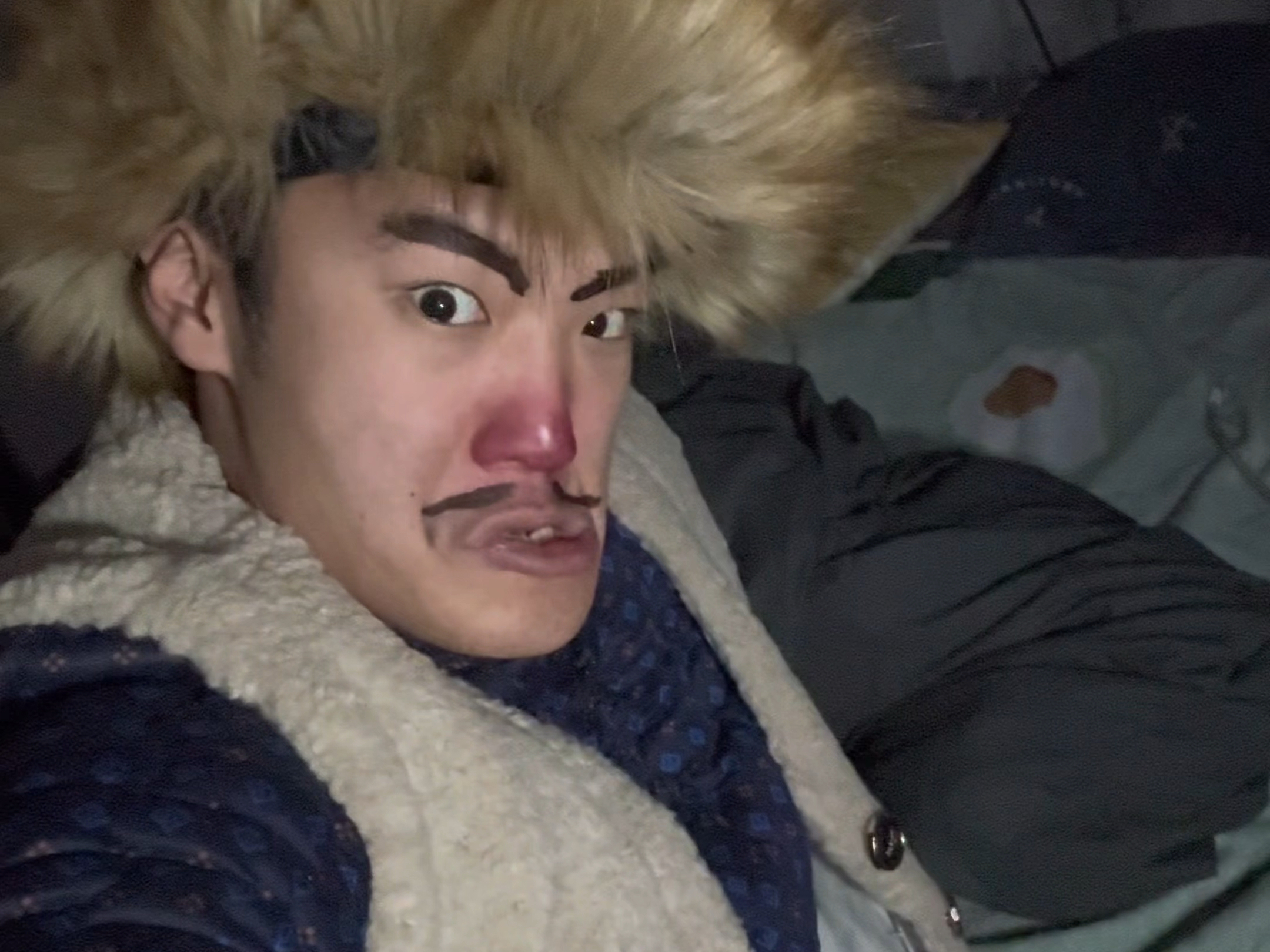 这篇森林由我来守护