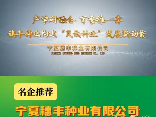 【名企推荐】宁夏穗丰种业有限公司邀请您莅临2025年第三十六届内蒙古国际农业博览会,3月26日相聚呼和浩特市内蒙古国际会展中心!哔哩哔哩bilibili