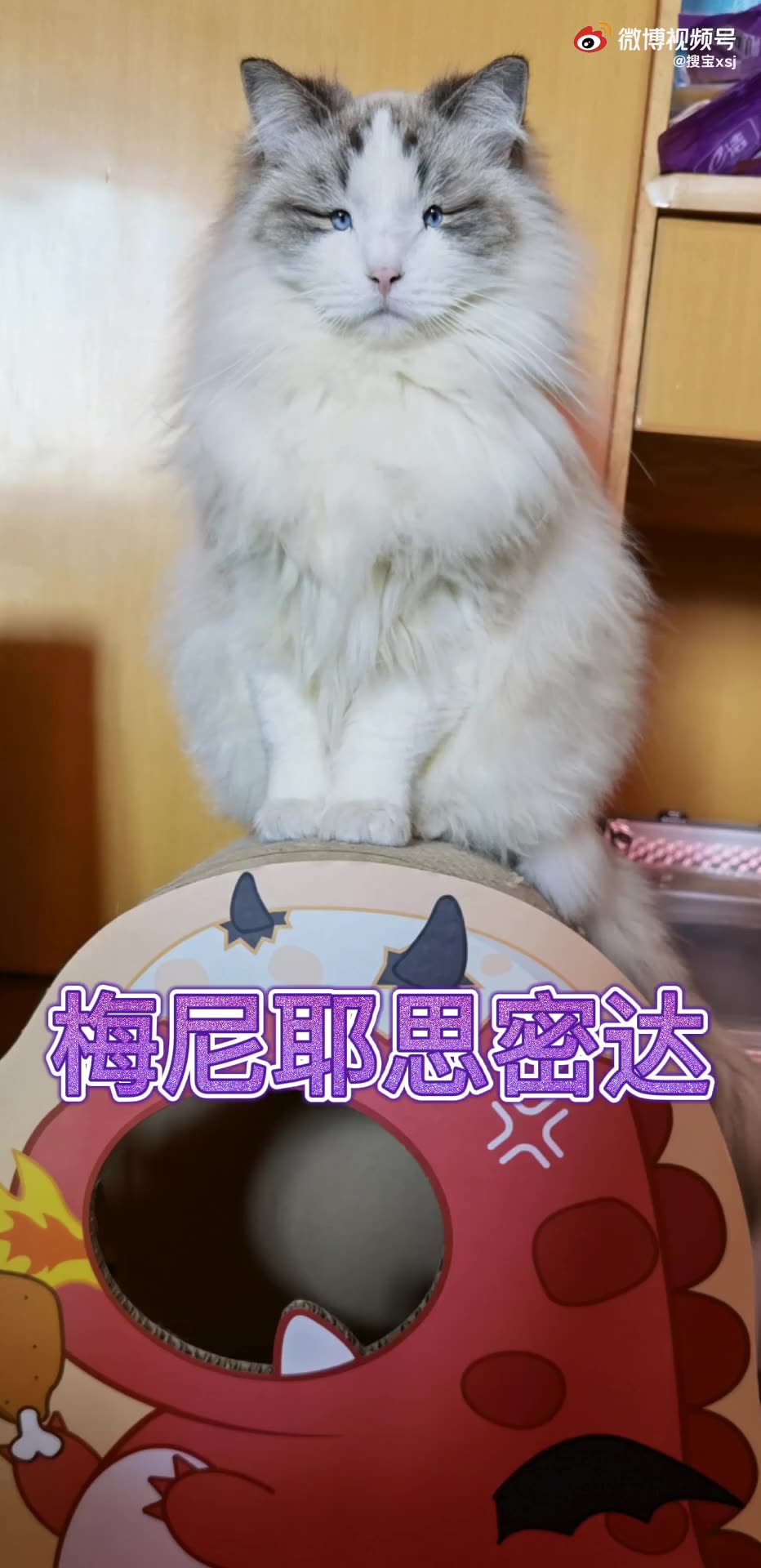 原来阿菠啵是梅尼耶