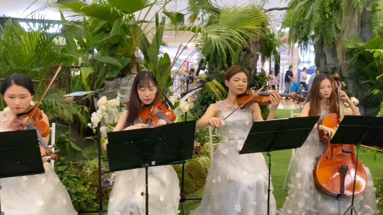 广州交响乐乐团商演管弦乐乐队 大小提琴八重奏演出小提琴暖场表演