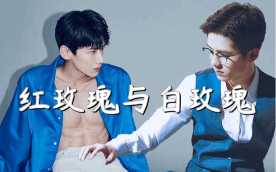 留白刘昊然x白敬亭红玫瑰与白玫瑰甄白或许大概可能是首位主动请缨