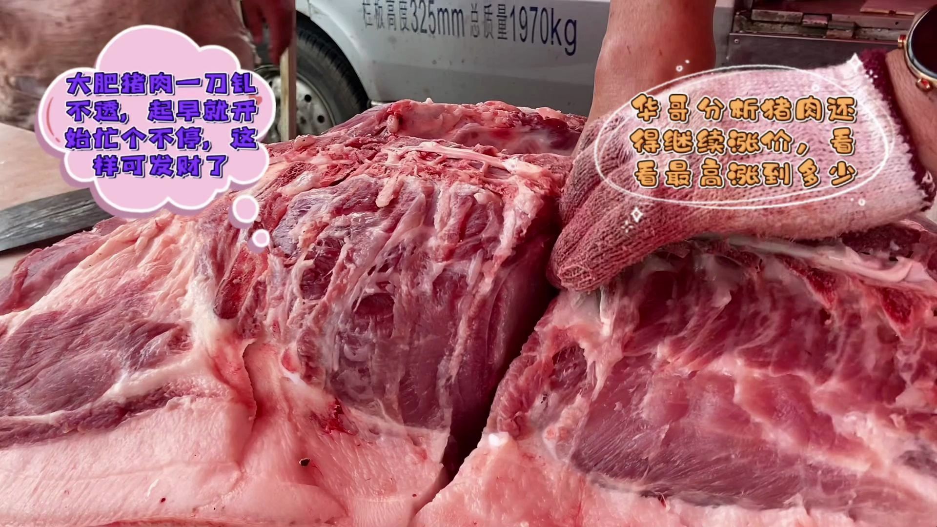 猪肉涨价图片