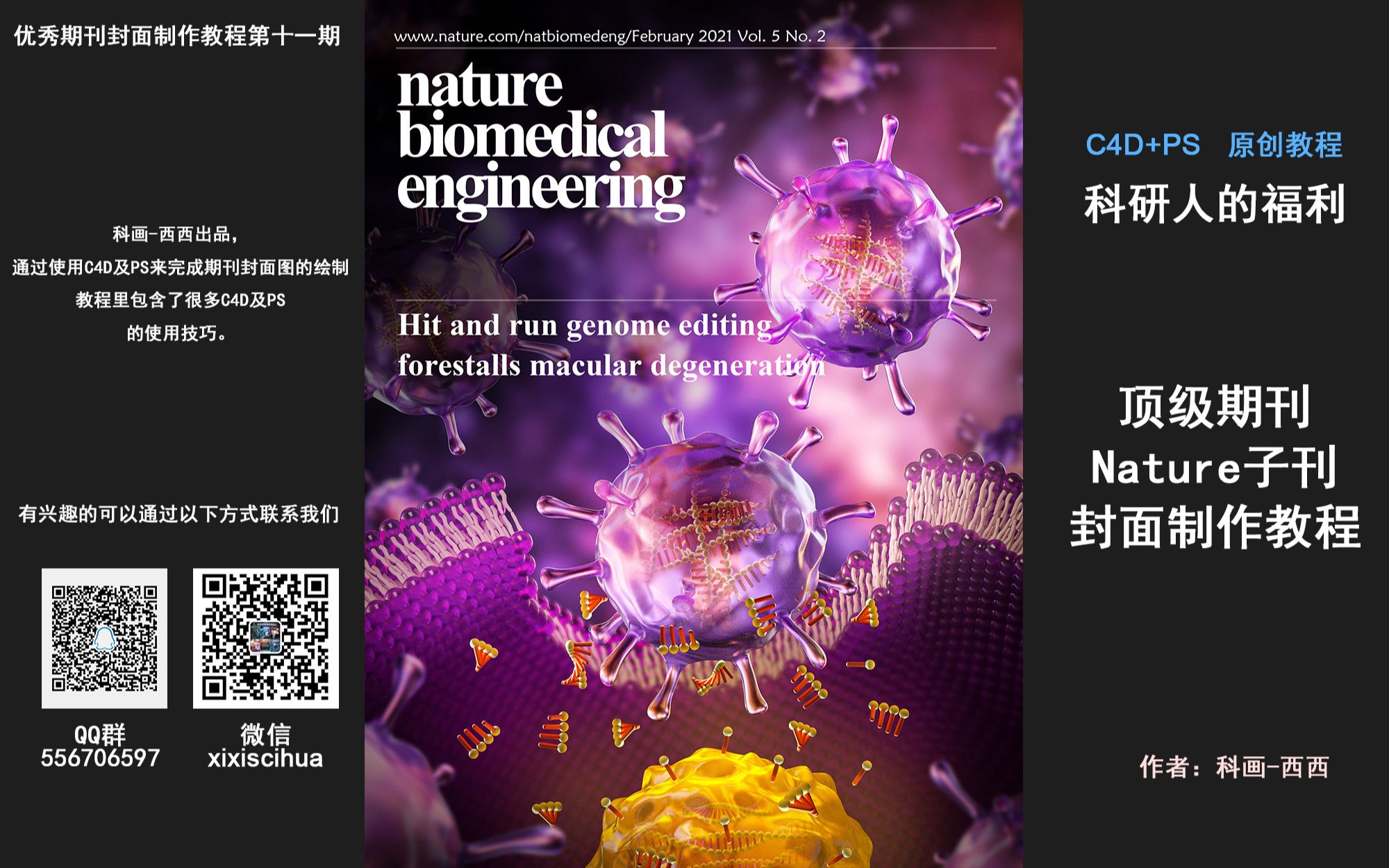 科研绘图顶级期刊Nature子刊封面制作教程 科画西西第十一期封面制作哔哩哔哩bilibili