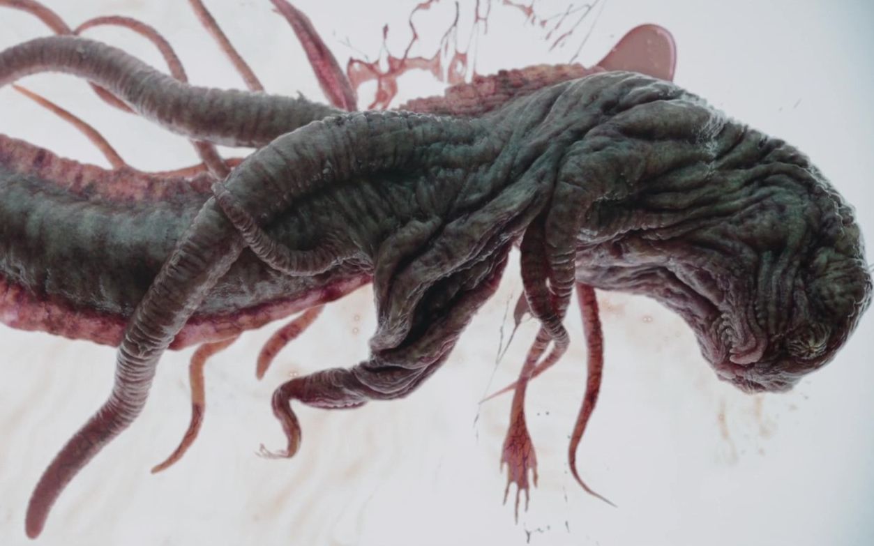 胆小勿进,超恶心怪物尸体,十分钟看《深海异兽》,掠食者被唤醒研究