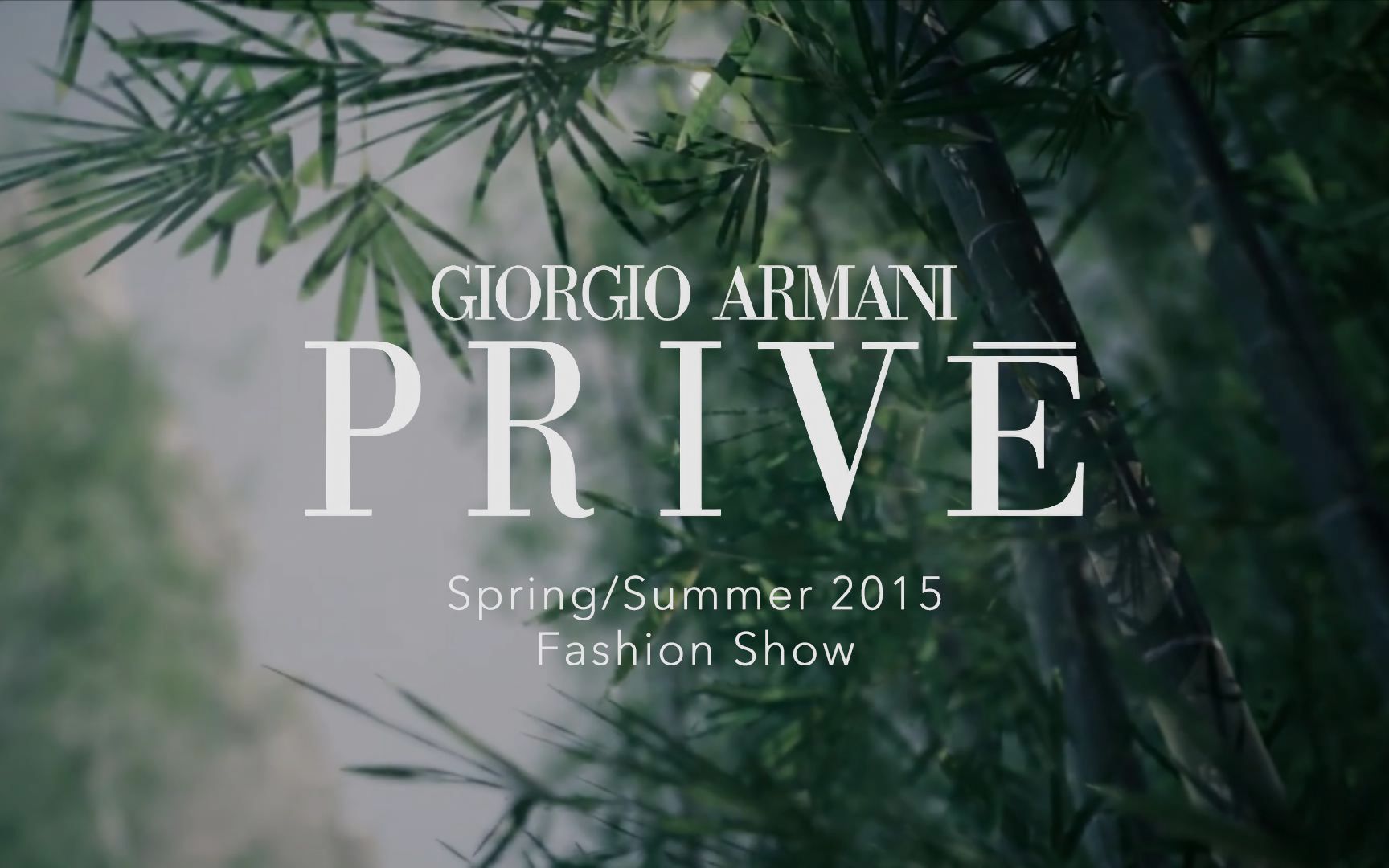 [图]Giorgio Armani 2015 Spring/Summer Privé Collection