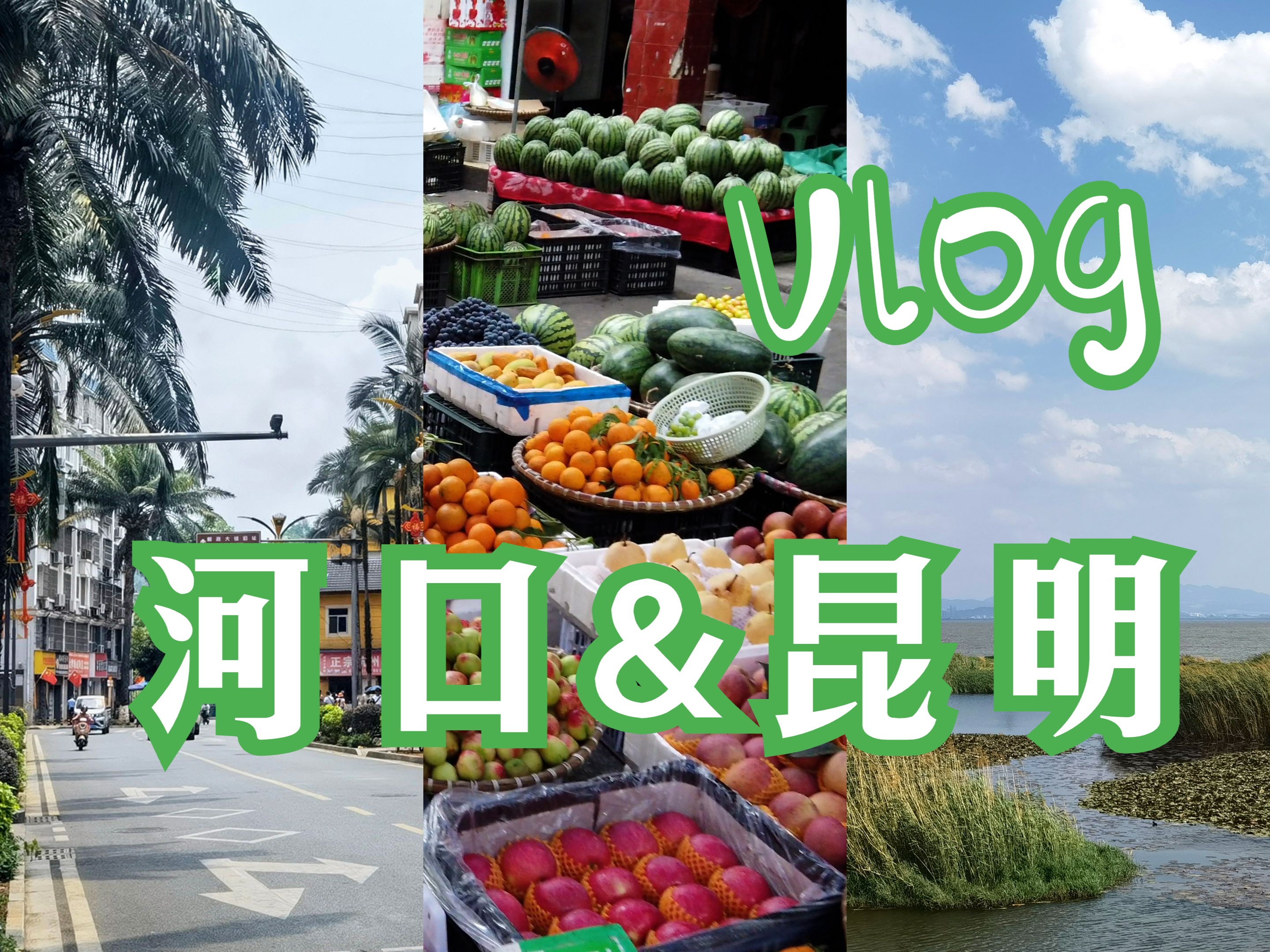 【vlog】河口&昆明|米线 越南咖啡 云南菜 越南小吃|斗南花市 云南省