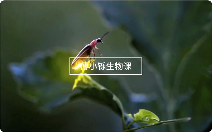 [图]【生物】4分钟了解能量“通货”——ATP