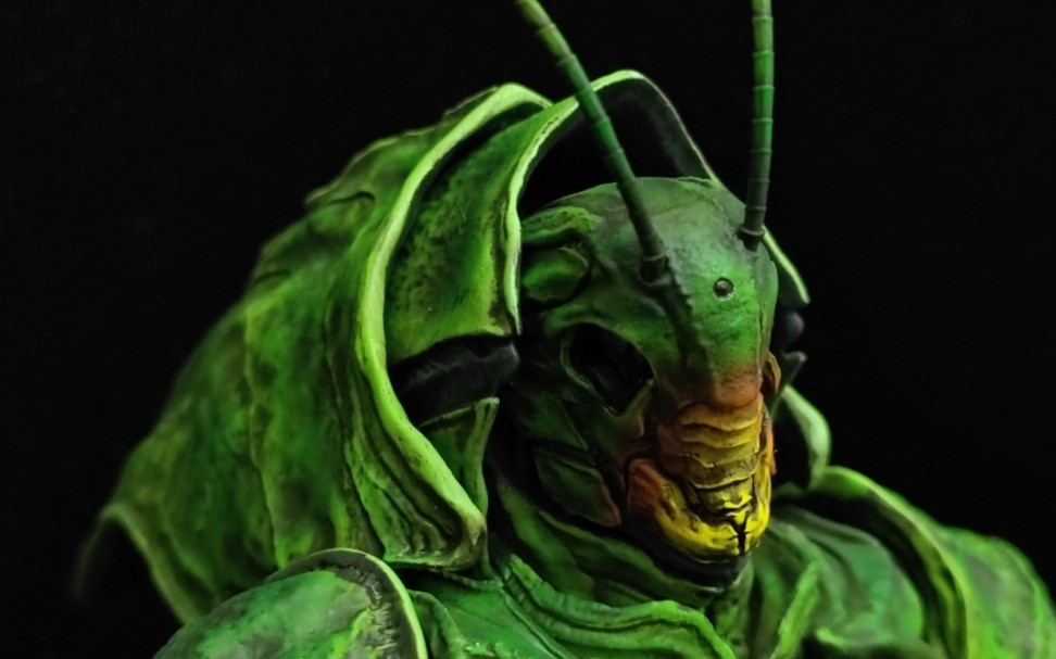 怪研部新生蝗虫