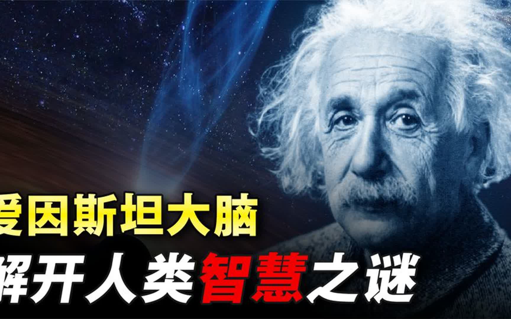 爱因斯坦大脑有什么秘密?死后被切成240片,研究发现聪明的真相哔哩哔哩bilibili