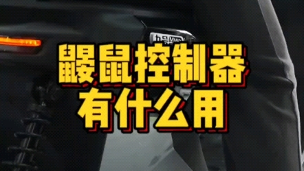 鼹鼠控制器有什么用?