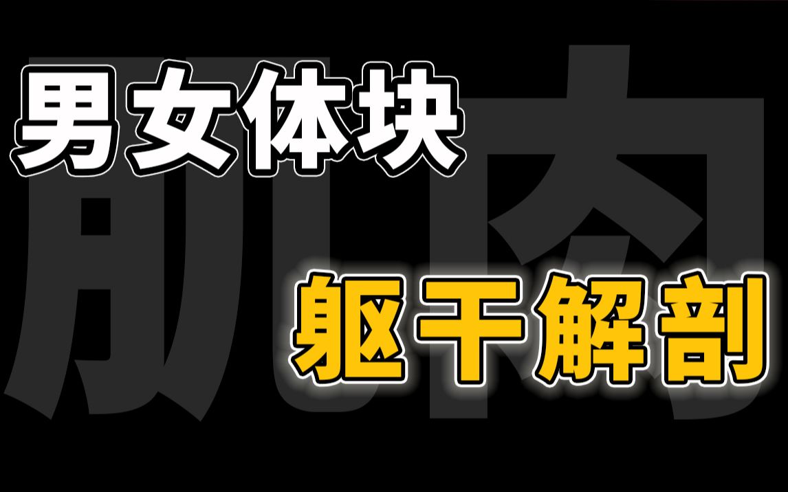 画本子是该先画肉肉还是衣服?完整版男女人体教程奉上!(三)哔哩哔哩bilibili