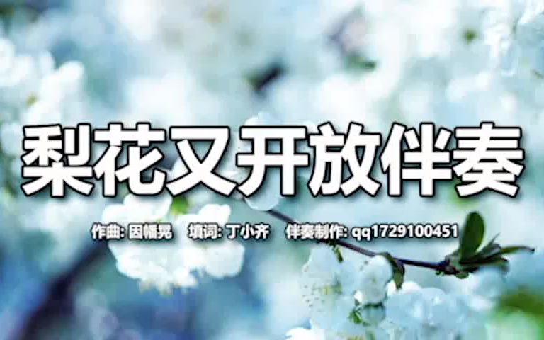 梨花又开放伴奏E哔哩哔哩bilibili