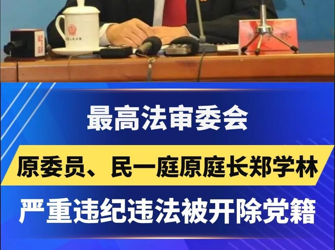 最高法审委会原委员、民一庭原庭长郑学林严重违纪违法被开除党籍 #反腐倡廉 #打虎拍蝇 #正能量哔哩哔哩bilibili