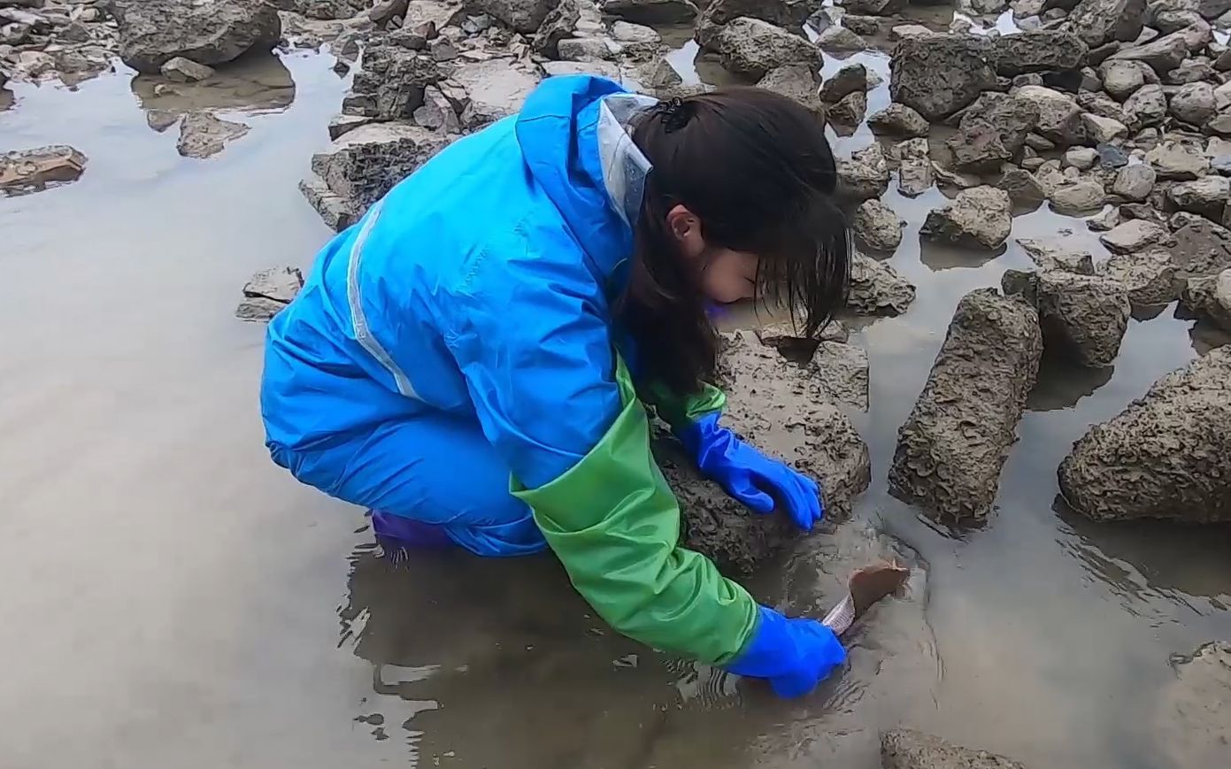 皮皮冒雨到乱石岛赶海翻开石头就兴奋了这货太猛了