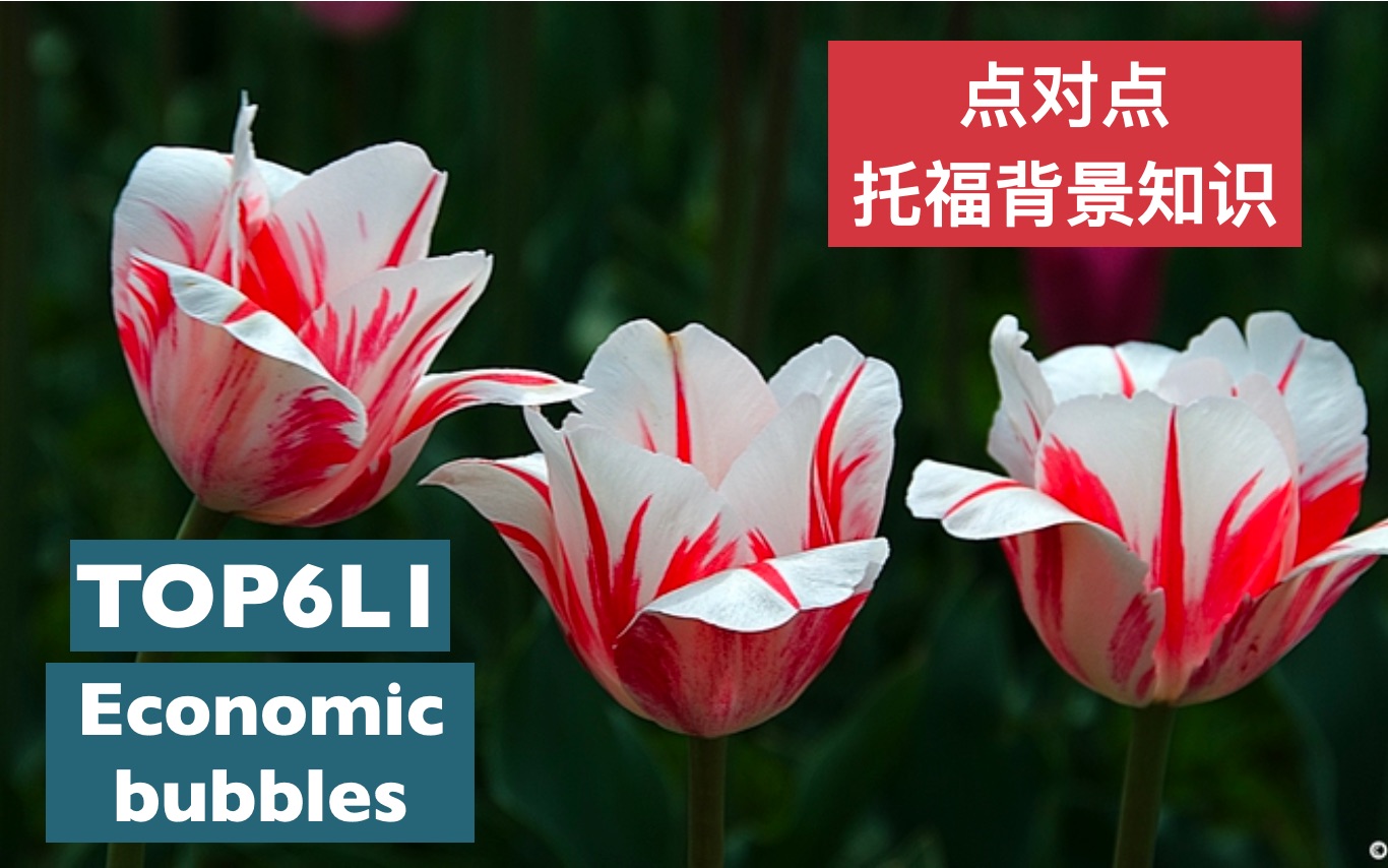 点对点托福背景知识EconomicsTOP6L1 What Causes Economic bubbles哔哩哔哩bilibili