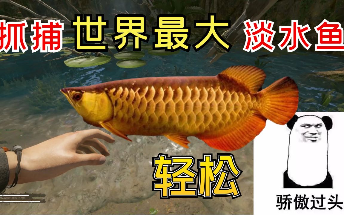 脑憨憨绿色地狱02突刺刺捕鱼法