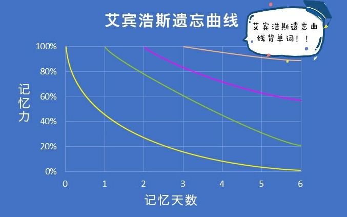 如何使用艾宾浩斯遗忘曲线记单词Ⅰ英语Ⅰ肥木耳Ⅰ分享哔哩哔哩bilibili