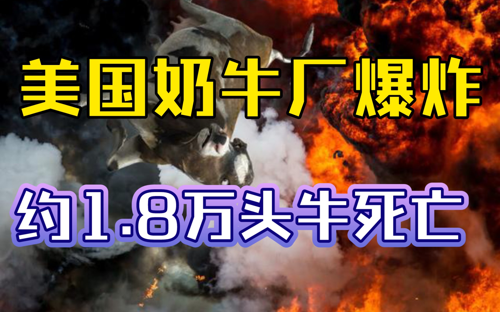 美国奶牛厂爆炸致约1.8万头牛死亡:被自己的屁炸死哔哩哔哩bilibili