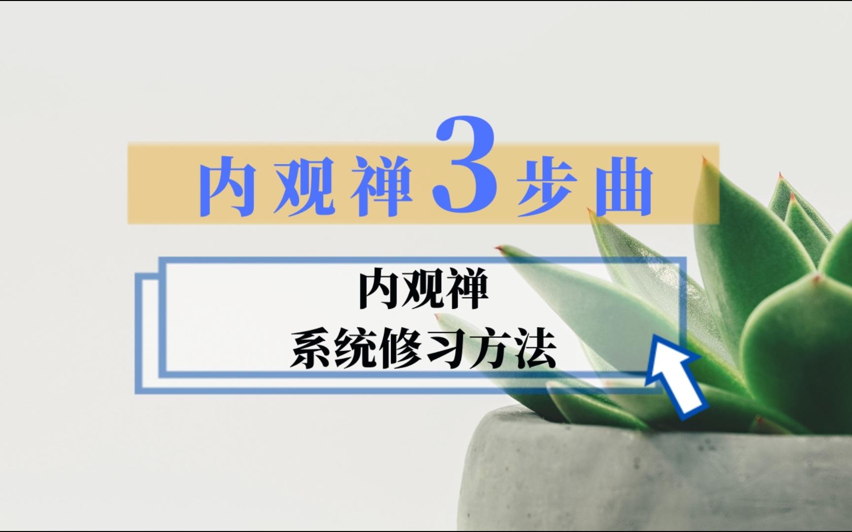 【行悟篇】修习内观禅三步曲 详解念力 专注力 定力 觉知力 慧力哔哩哔哩bilibili