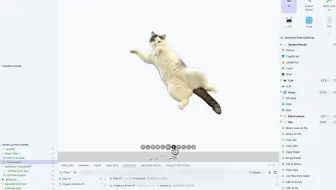 cats