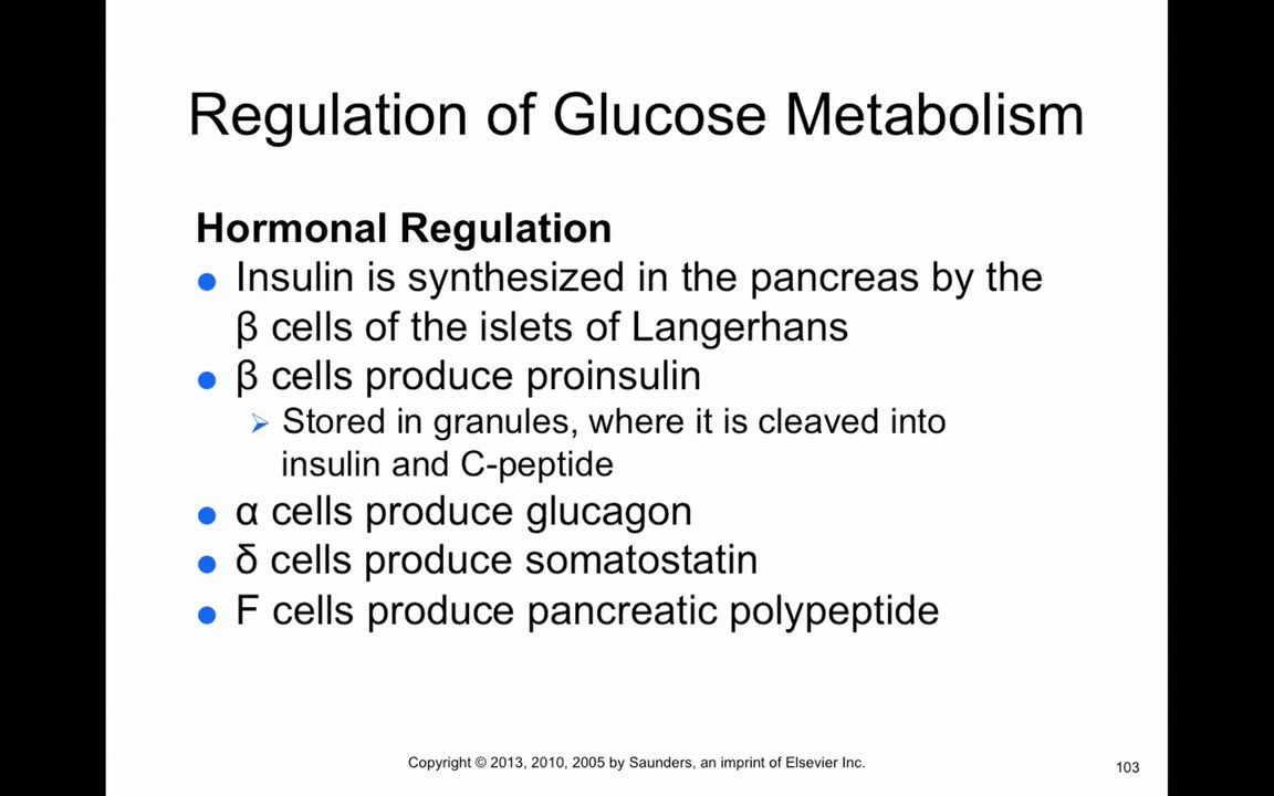 Chapter 41 Diabetes Mellitus BIOL300哔哩哔哩bilibili