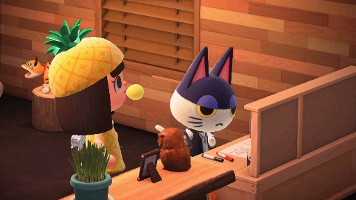 【动物森友会】尔光就是全世界坠可爱的小猫咪