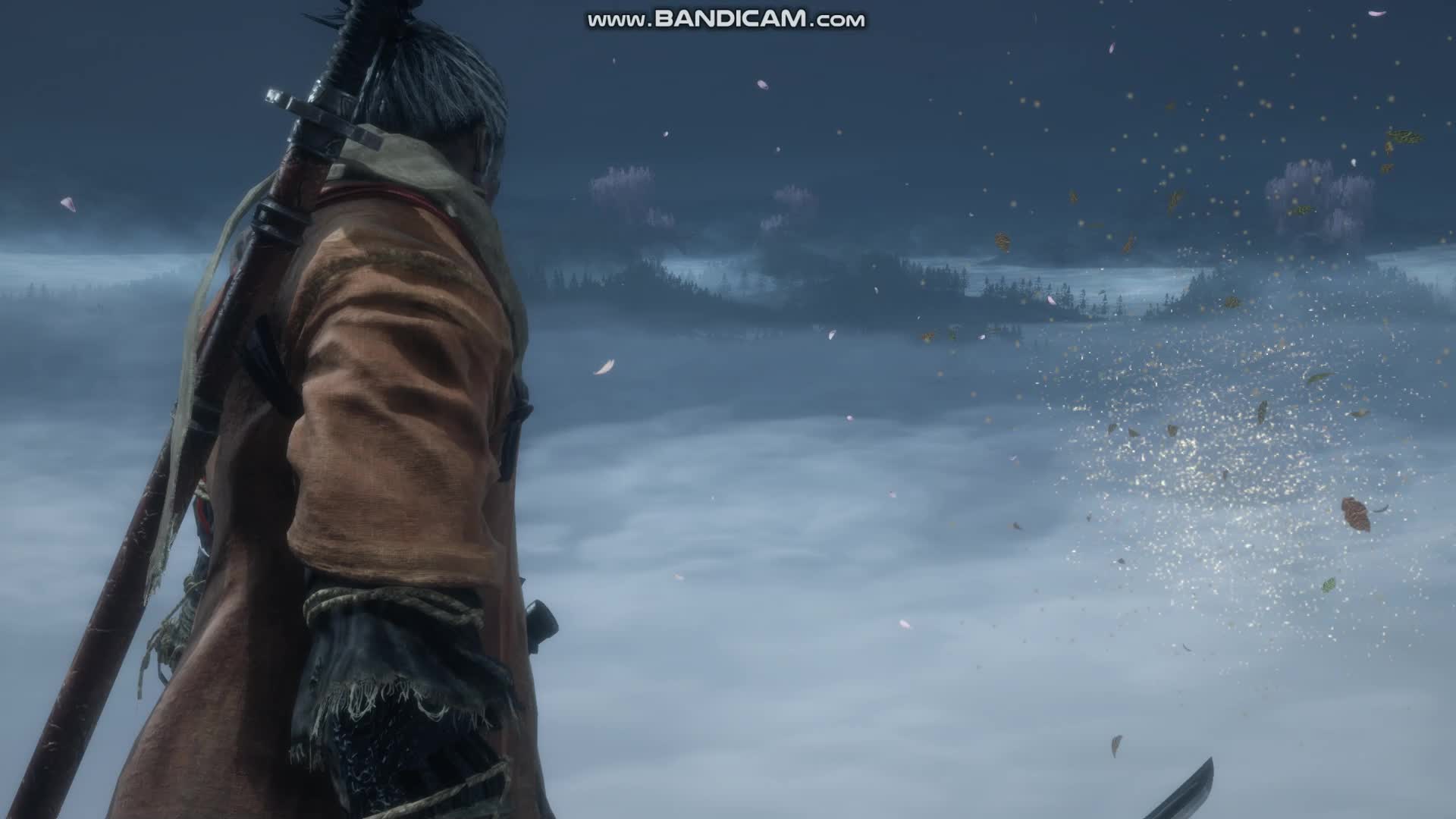 【只狼樱龙】这才是我心目中国产仙侠游戏的画风啊!