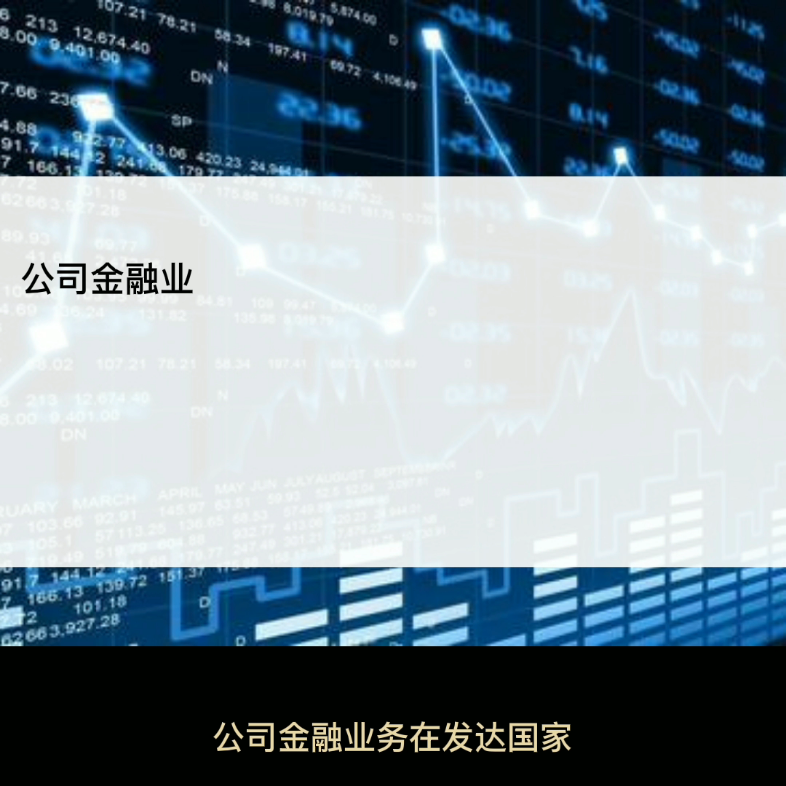 [图]公司金融顾问CFC：公司金融业务在国内外