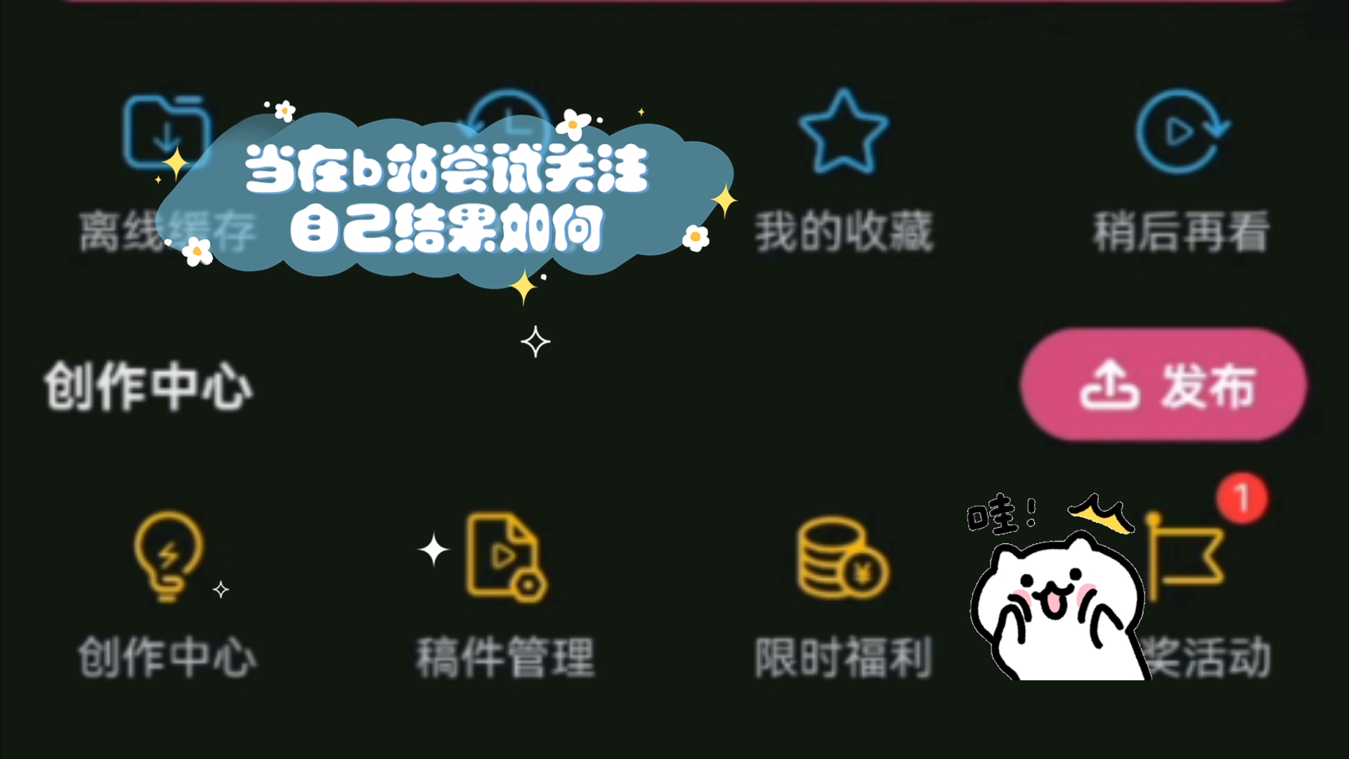 当在b站尝试关注自己结果如何【手机版】哔哩哔哩bilibili