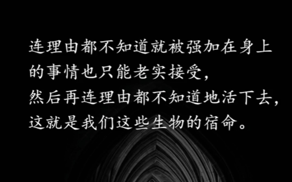 宽广高朗的星空下,挖一个墓坑让我躺下.我生也快乐,死也欢洽.哔哩哔哩bilibili