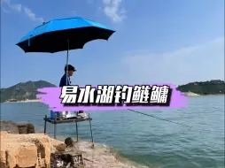 Download Video: 易水湖钓鲢鳙。